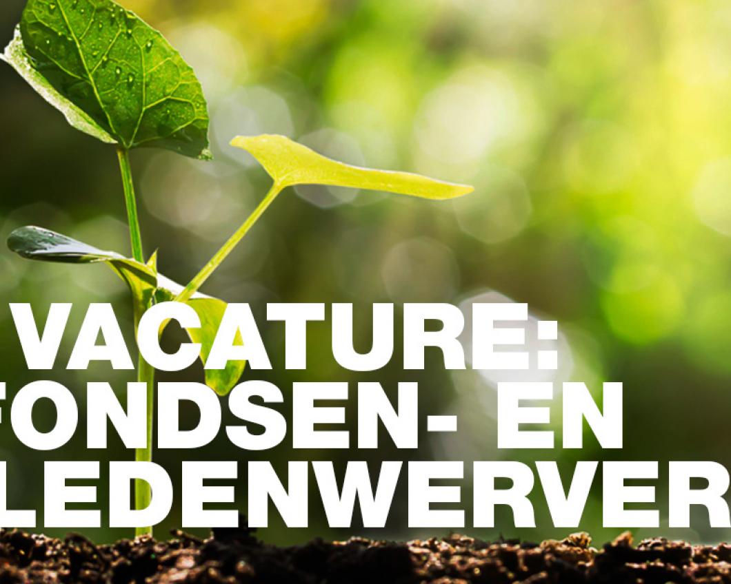 vacatuur.jpg